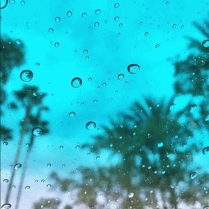 Meet your Posher, Bitsy